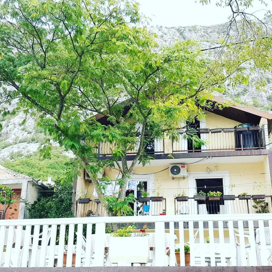 Montenegro Apartmant'S Kotor Buitenkant foto