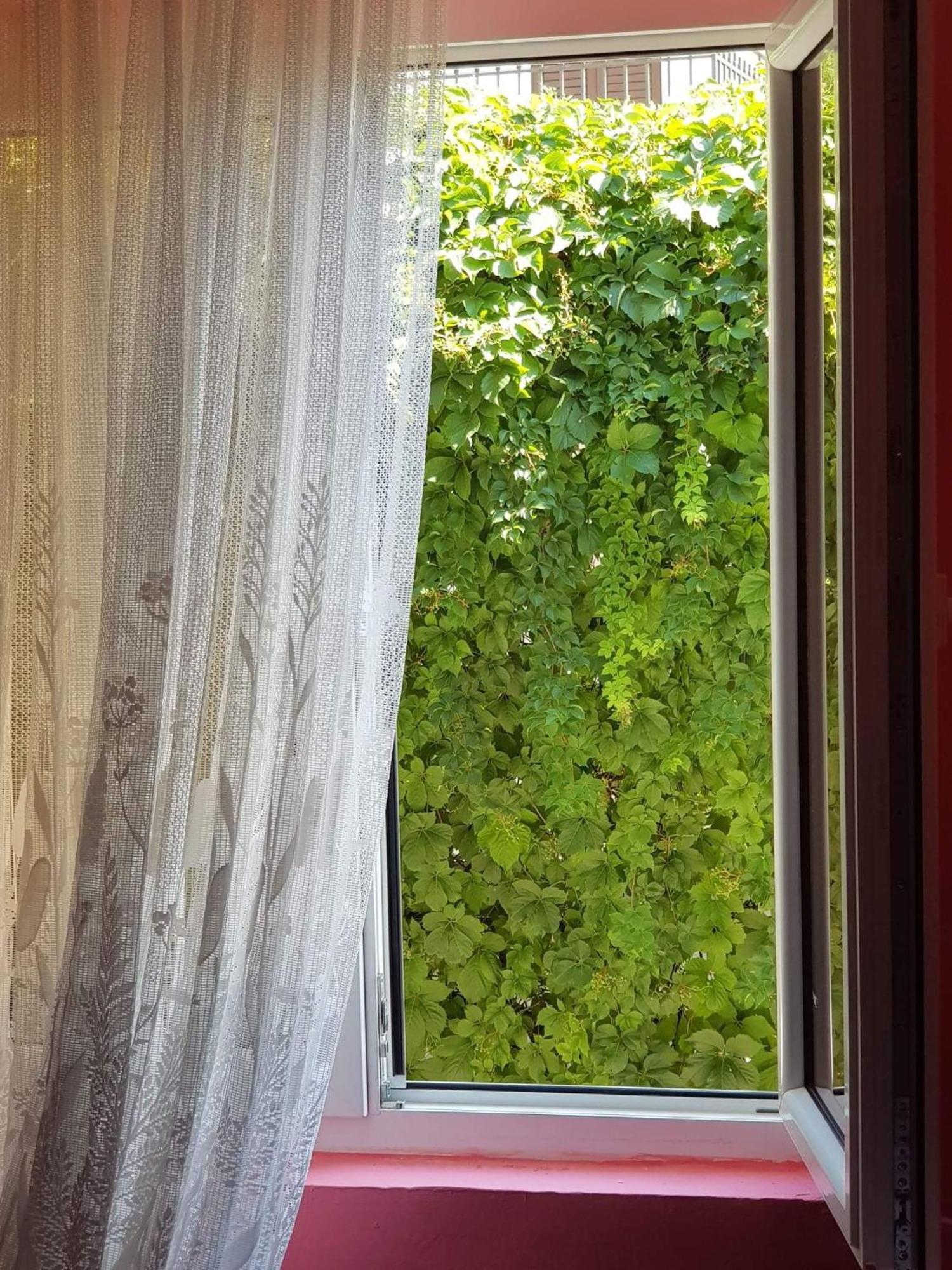 Montenegro Apartmant'S Kotor Kamer foto